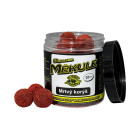 Boilies Měkule - 140 g/16 mm,20mm,25mm - Mrtvý korýš