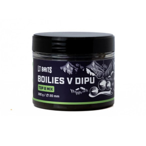 TOP 8 MIX DIPOVANÉ BOILIES 20,24MM 300G