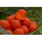 STARBAITS Probiotic Peach & Mango1kg - Doprodej !