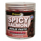 Spicy Salmon Obalovací pasta 250g - STARBAITS