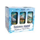 Bohemia Regent – Dárkové balení Třeboňské ryby (6× 0,5 l) - Vánoce