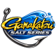 SALT SERIES