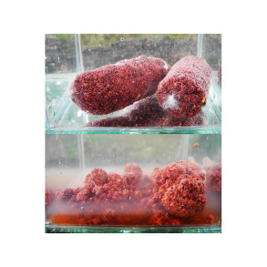    Směs do PVA - 1 kg - Biotrus meat