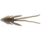 PB NYMFY - BERKLEY 2,5cm - TD - perleťově/hnědá