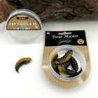 SPRO Trout Master Fat Camola Orange/Black 4 cm – 8 ks