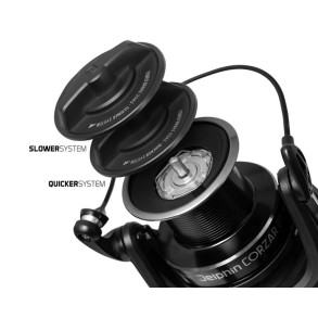 Delphin CORZAR 8T 6+1