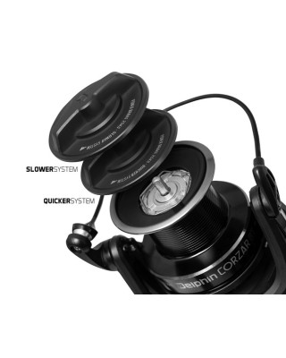 Delphin CORZAR 8T 6+1