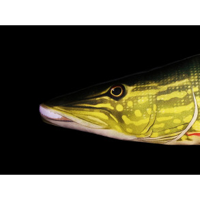 ŠTIKA GIANT 110cm - POLŠTÁŘ