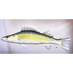 CANDÁT OBECNÝ - 75 cm- POLŠTÁŘ