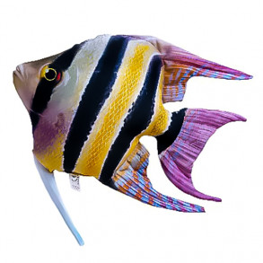 Skalára amazonská - 51 cm polštářek