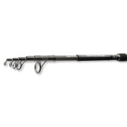 Daiwa Prut Black Widow Tele Feeder 3,3 m 100 g