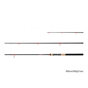 Delphin LEEDER Feeder 330cm 100g + 2 špičky