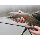 Delphin TROUTERA SoftLURE 210cm/1-7g/2 díly