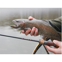 Delphin TROUTERA SoftLURE 180cm/0.5-6g/2 díly