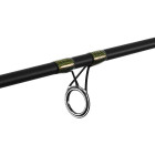 Delphin MURENA 270cm/100g/2 díly