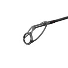 Delphin RIVERA NX 210cm/150g