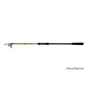 Prut Delphin Partisan