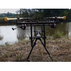 Rod pod Delphin BRONX