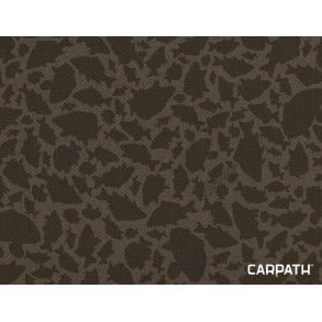 Delphin Area LEAD Carpath