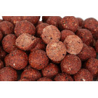 TOP CARP BOILIE INTENSIV CARP FEED SMOKED SALMON - 10kg