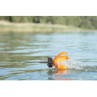 Spyder Spod – špičková raketa na krmení pro maximální výkon