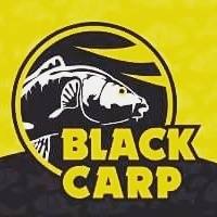 BLACK CARP